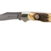 Böker Junior Scout 111910 Stag, Taschenmesser -Survival Knife Shop BO111910 01 boker