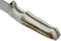 Böker Integral II Stag 123541 Hirschhorn, Jagdmesser -Survival Knife Shop BO123541 04 boker