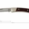 Buck 503 Prince 0503RWS-B, Palisanderholz 1 Buck 503 Prince 0503RWS-B, Palisanderholz -Survival Knife Shop BUCK0503RWS B 01 buck 503 prince knife buck0503rws b 01