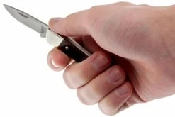 Buck 503 Prince 0503RWS-B, Palisanderholz -Survival Knife Shop BUCK0503RWS B 05 buck 503 prince knife buck0503rws b 05