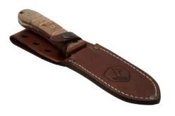 Condor Tactical P.A.S.S. Chute Knife, Feststehendes Messer -Survival Knife Shop CTK1827 105 4C 06 condor