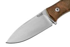 Lionsteel M4 Walnut MagnaCut M4-MC-WN, Knivesandtools Exclusive, Feststehendes Messer -Survival Knife Shop LI M4 MC WN 03 lionsteel