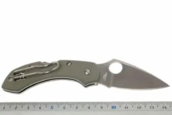 Spyderco Dragonfly G10 C28GPFG Taschenmesser, Foliage Grün -Survival Knife Shop SPC28GPFG 05 spyderco dragonfly2 foliage green spc28gpfg d5
